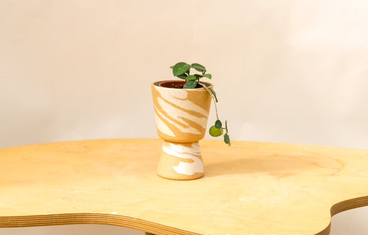 Small Pedestal Planter Desert Splash 19