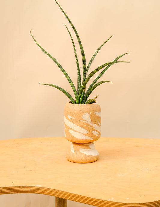 Small Pedestal Planter Desert Splash 21