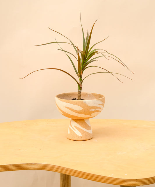 Small Pedestal Planter Desert Splash 22