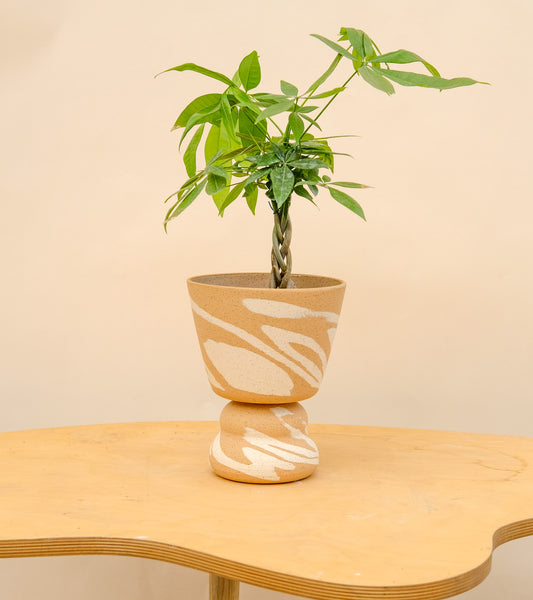 Medium Pedestal Planter Desert Splash 14
