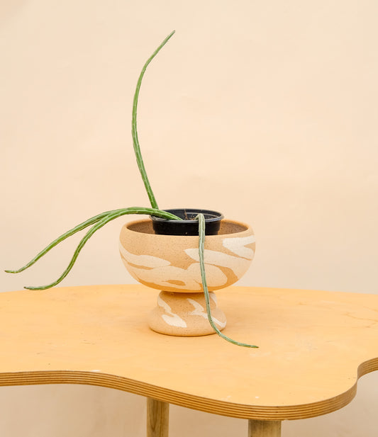 Medium Pedestal Planter Desert Splash 18