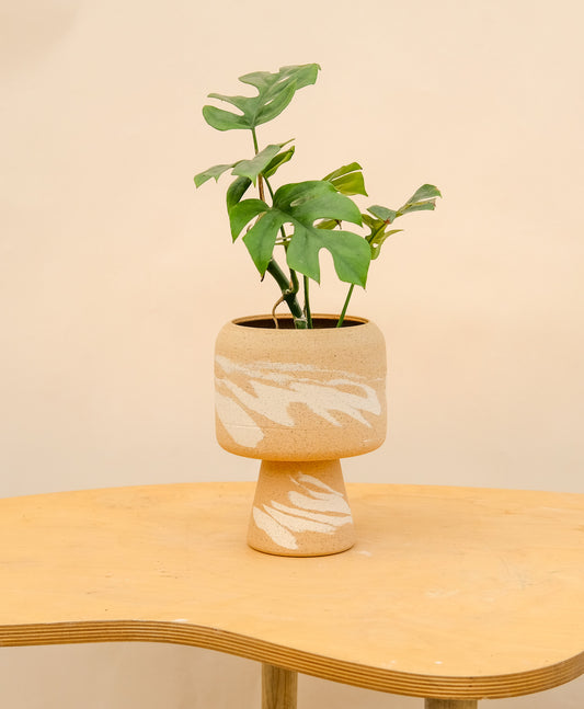 Medium Pedestal Planter Desert Splash 19