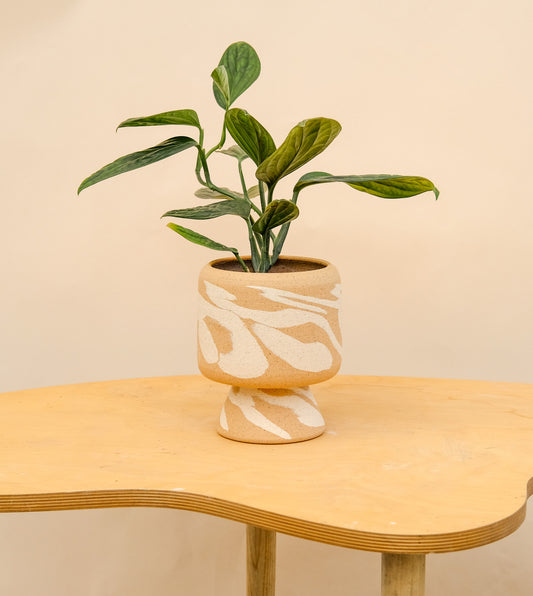 Medium Pedestal Planter Desert Splash 20