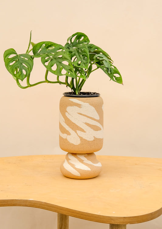 Medium Pedestal Planter Desert Splash 21
