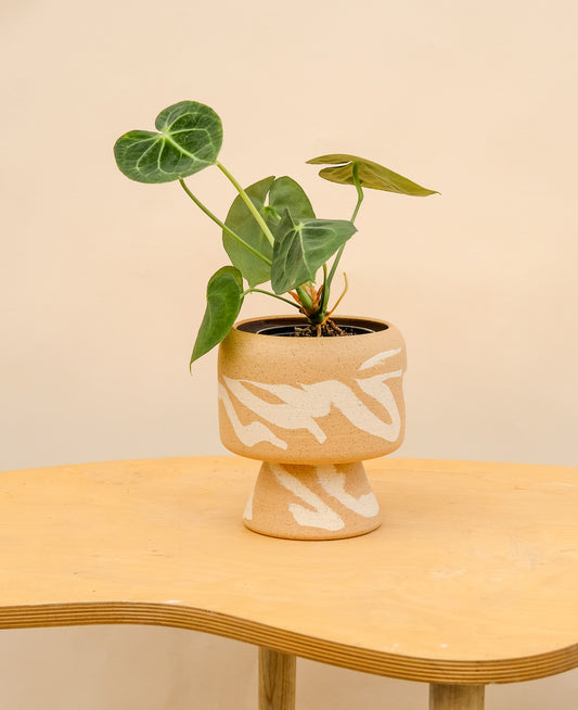 Medium Pedestal Planter Desert Splash 24