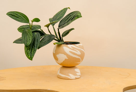 Medium Pedestal Planter Desert Splash 13