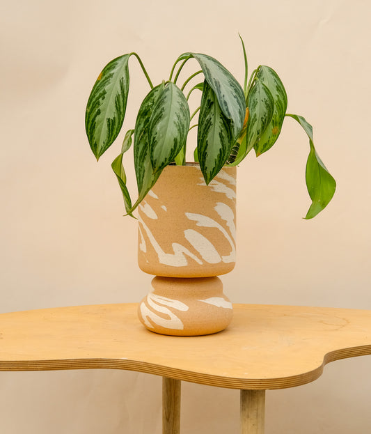Large Pedestal Planter Desert Splash 2