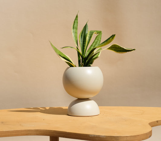 Cream Medium Planter 2