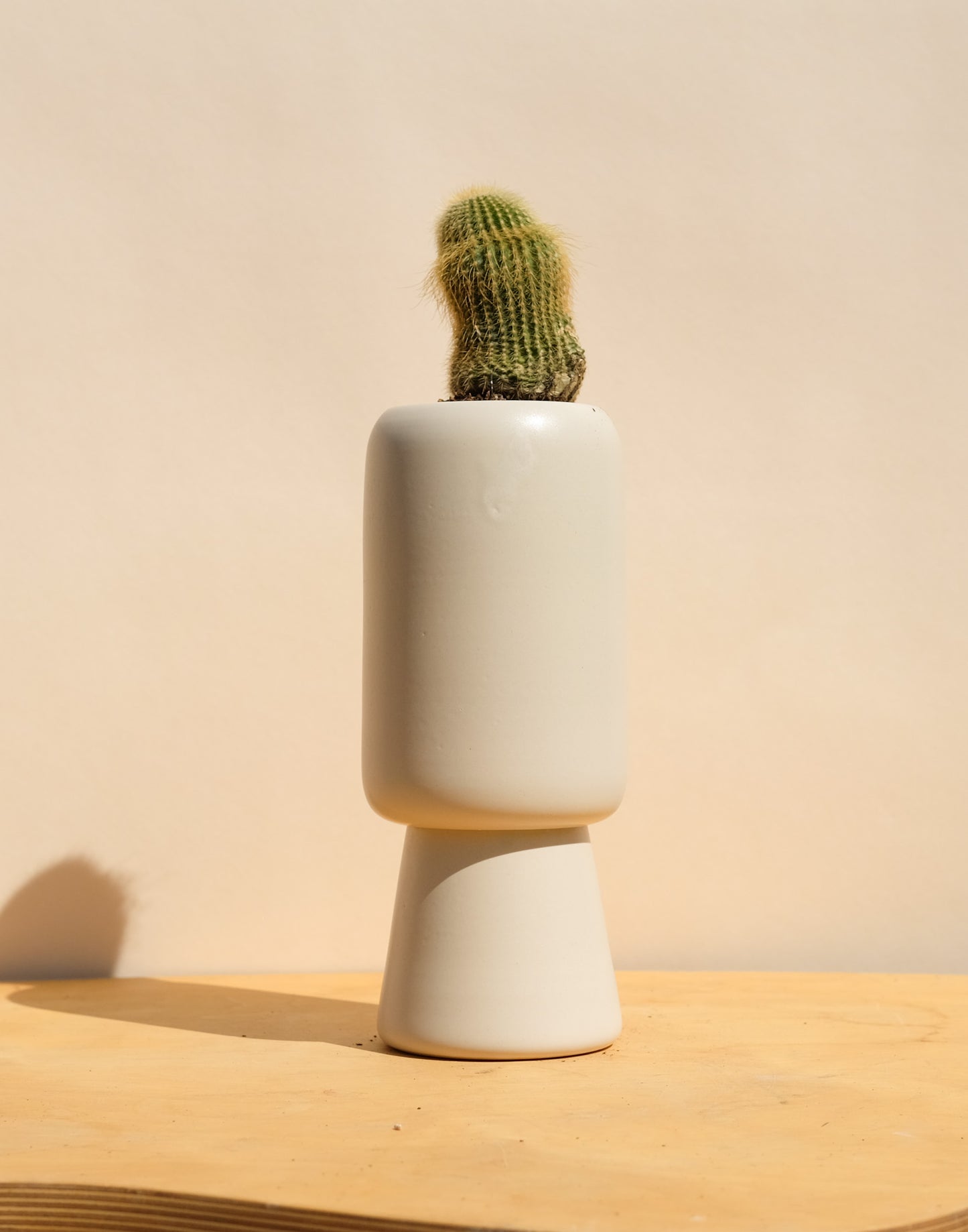 Cream Medium Planter 4