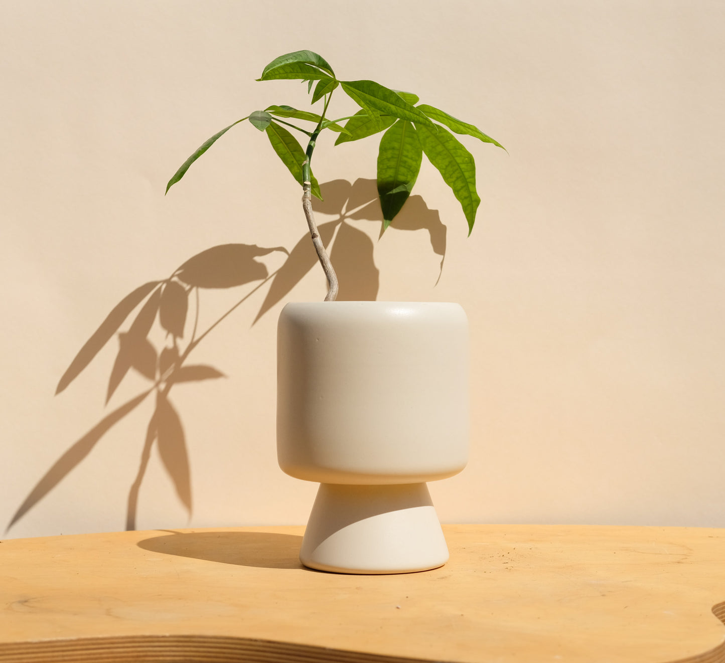 Cream Medium Planter 5