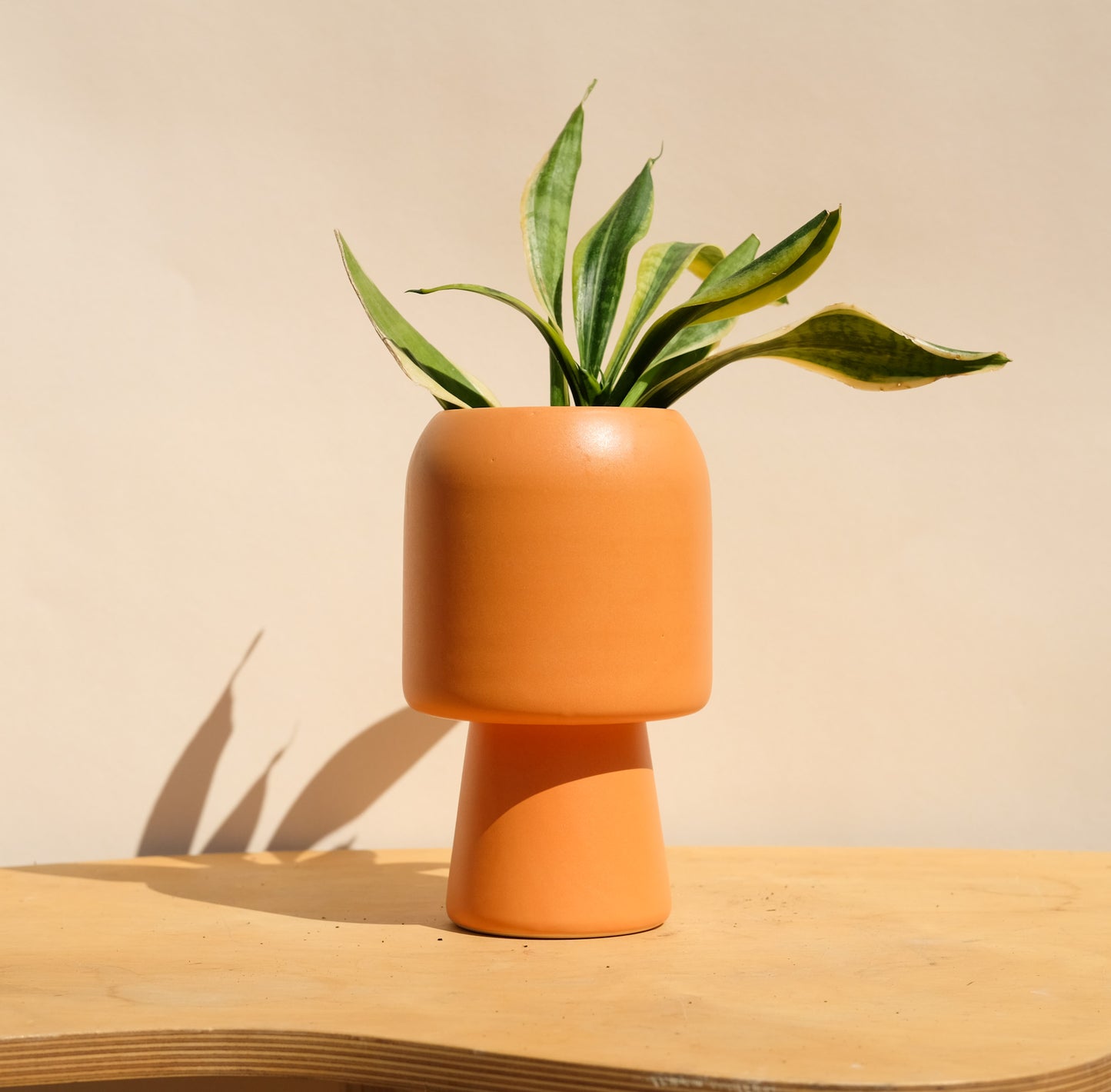 Orange Medium Planter