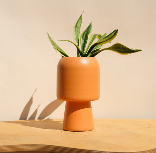 Orange Medium Planter