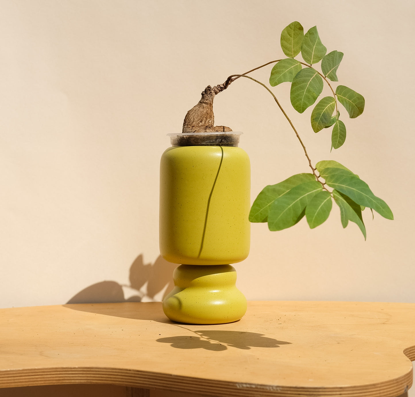 Spring Green Medium Planter 1