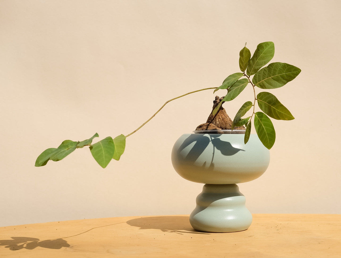 Blue Medium Planter 2 *second*