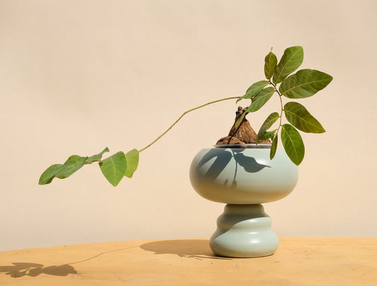 Blue Medium Planter 2 *second*