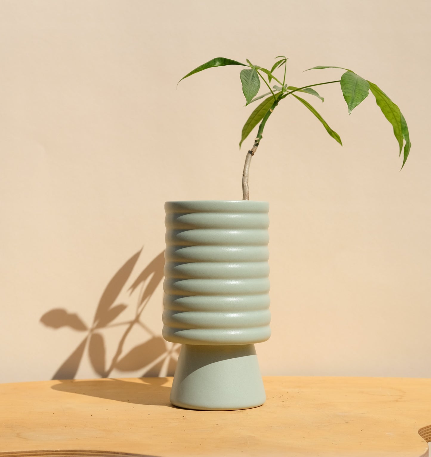 Blue Medium Planter 3
