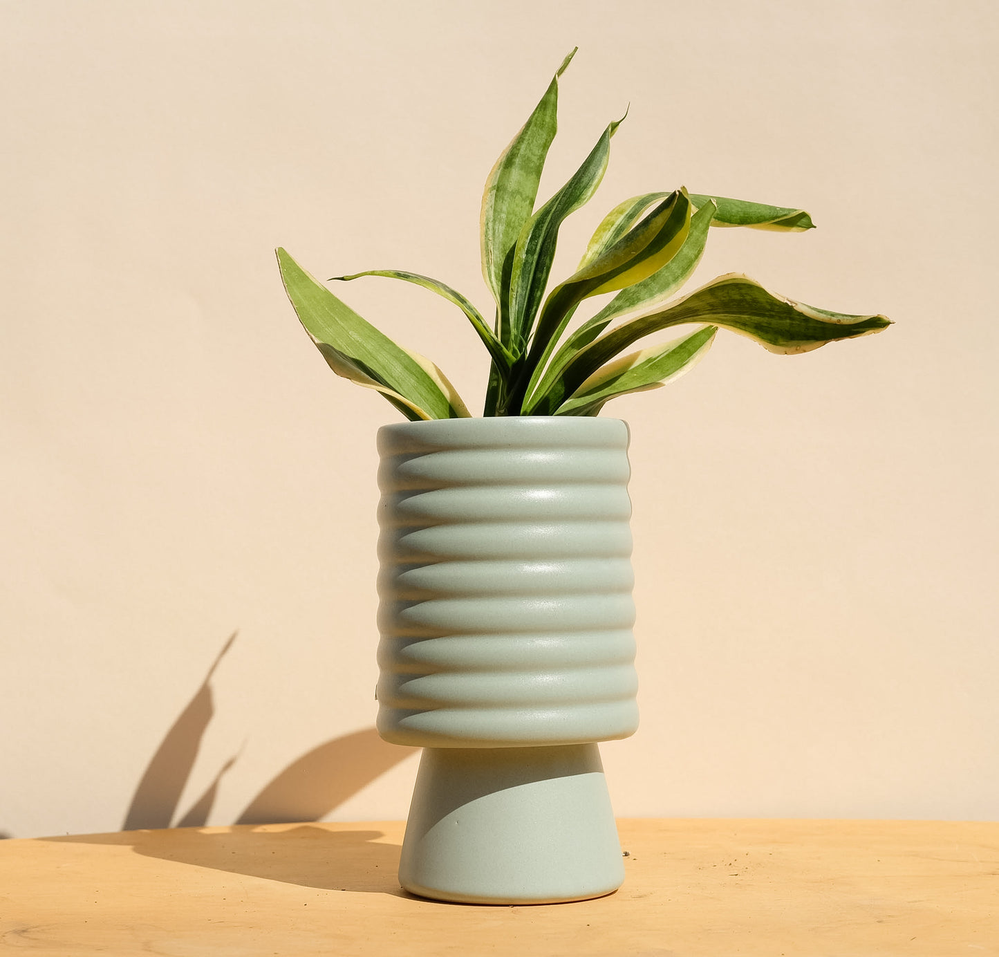 Blue Medium Planter 5