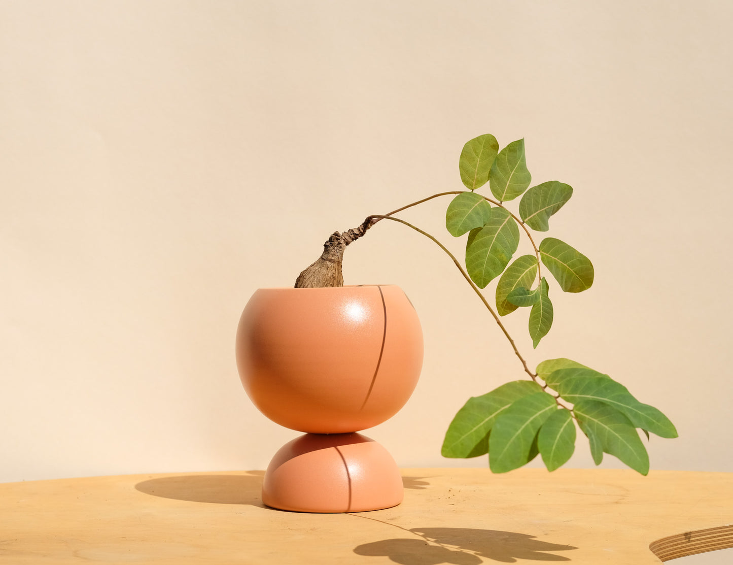 Peach Medium Planter