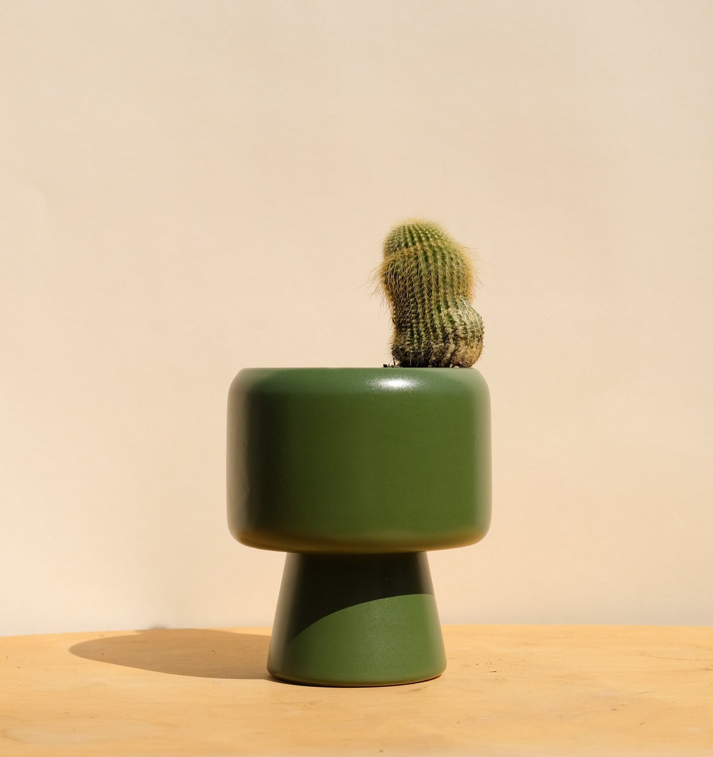 Evergreen Medium Planter 1