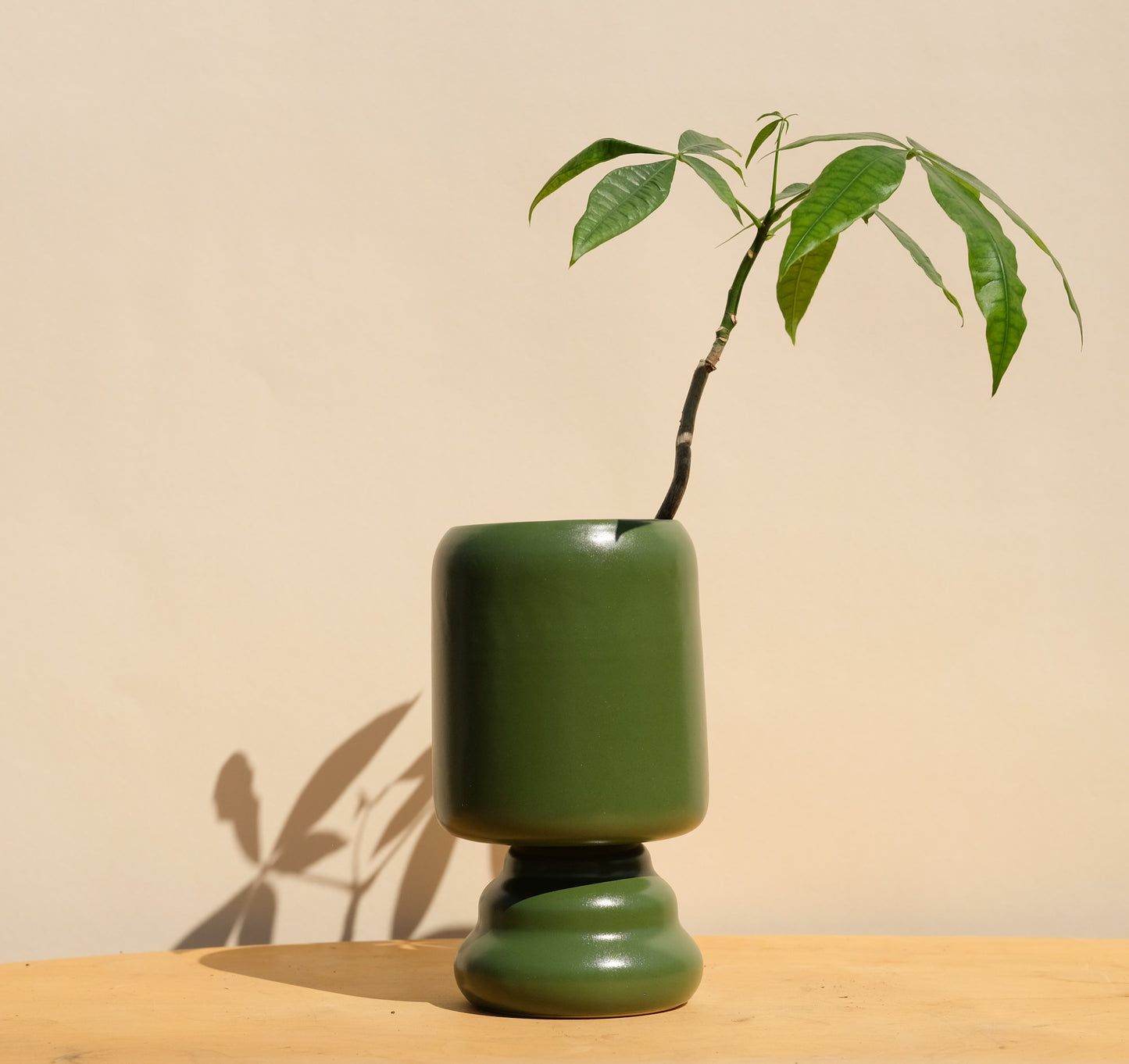 Evergreen Medium Planter 2