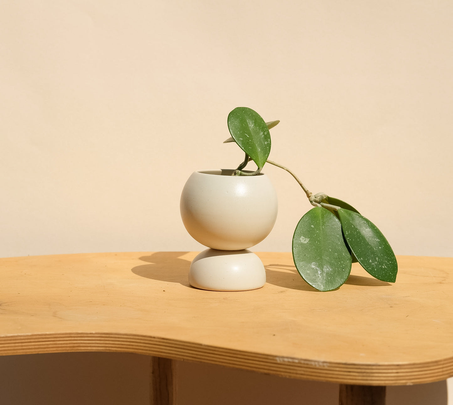 Cream Small Planter 3