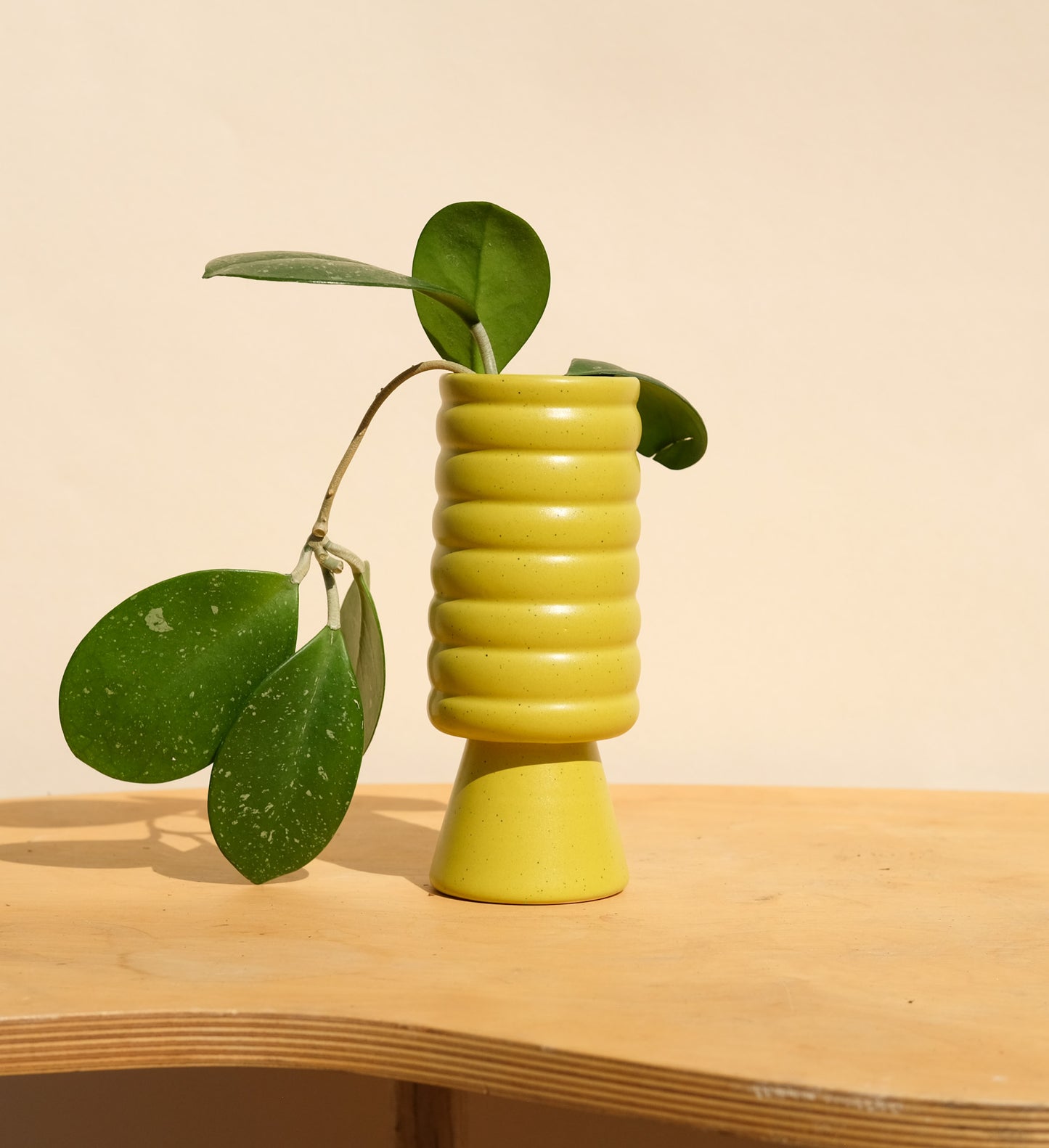 Spring Green Small Planter 3