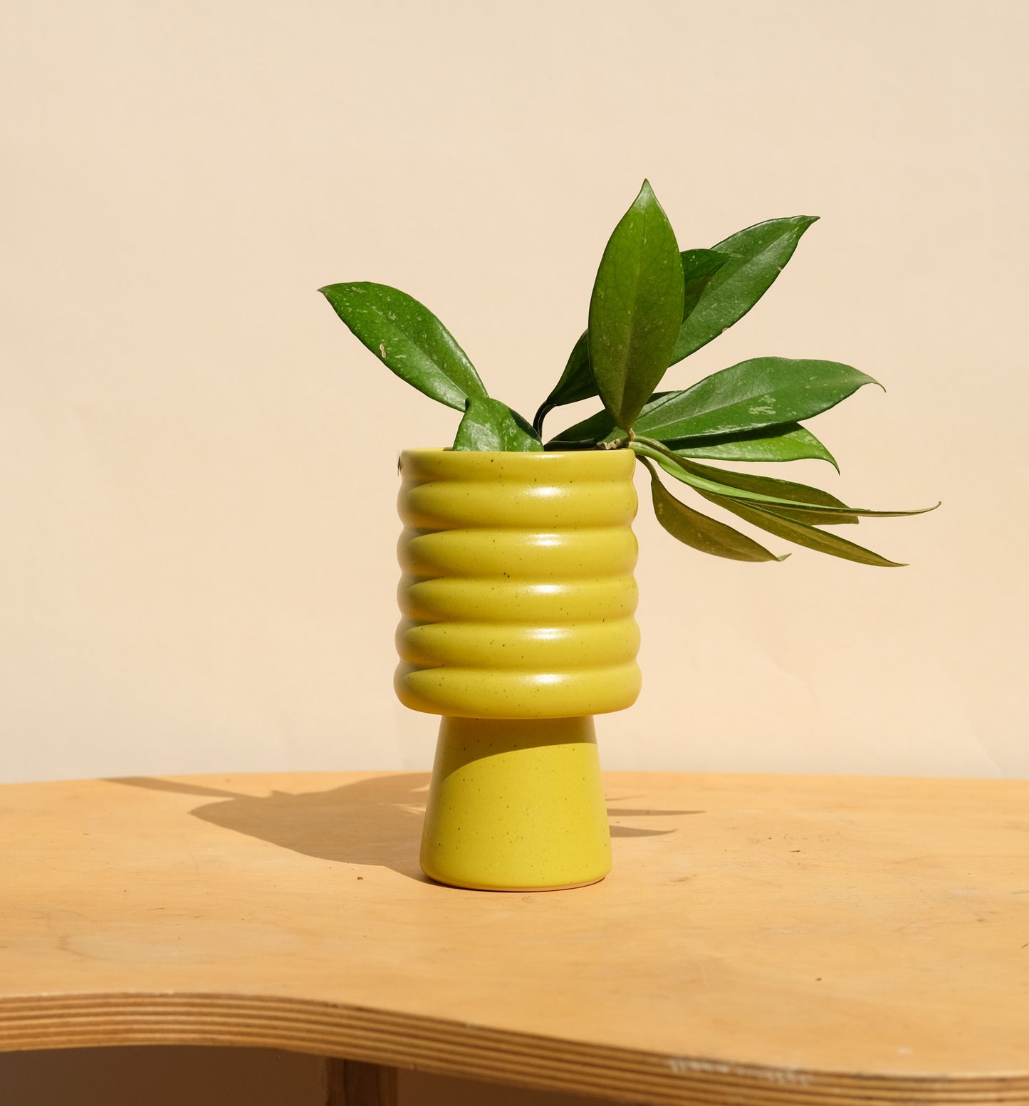 Spring Green Small Planter 5