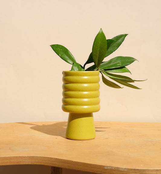 Spring Green Small Planter 5