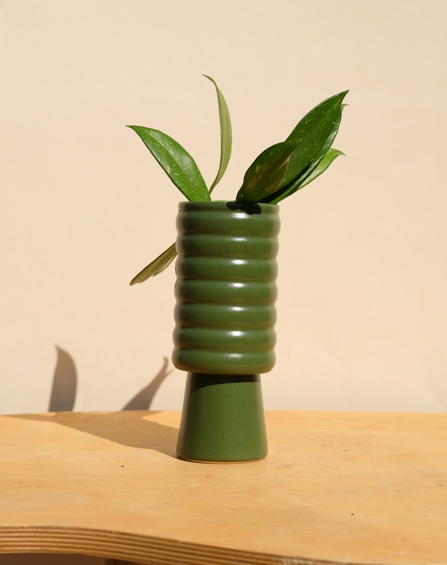 Evergreen Small Planter 2