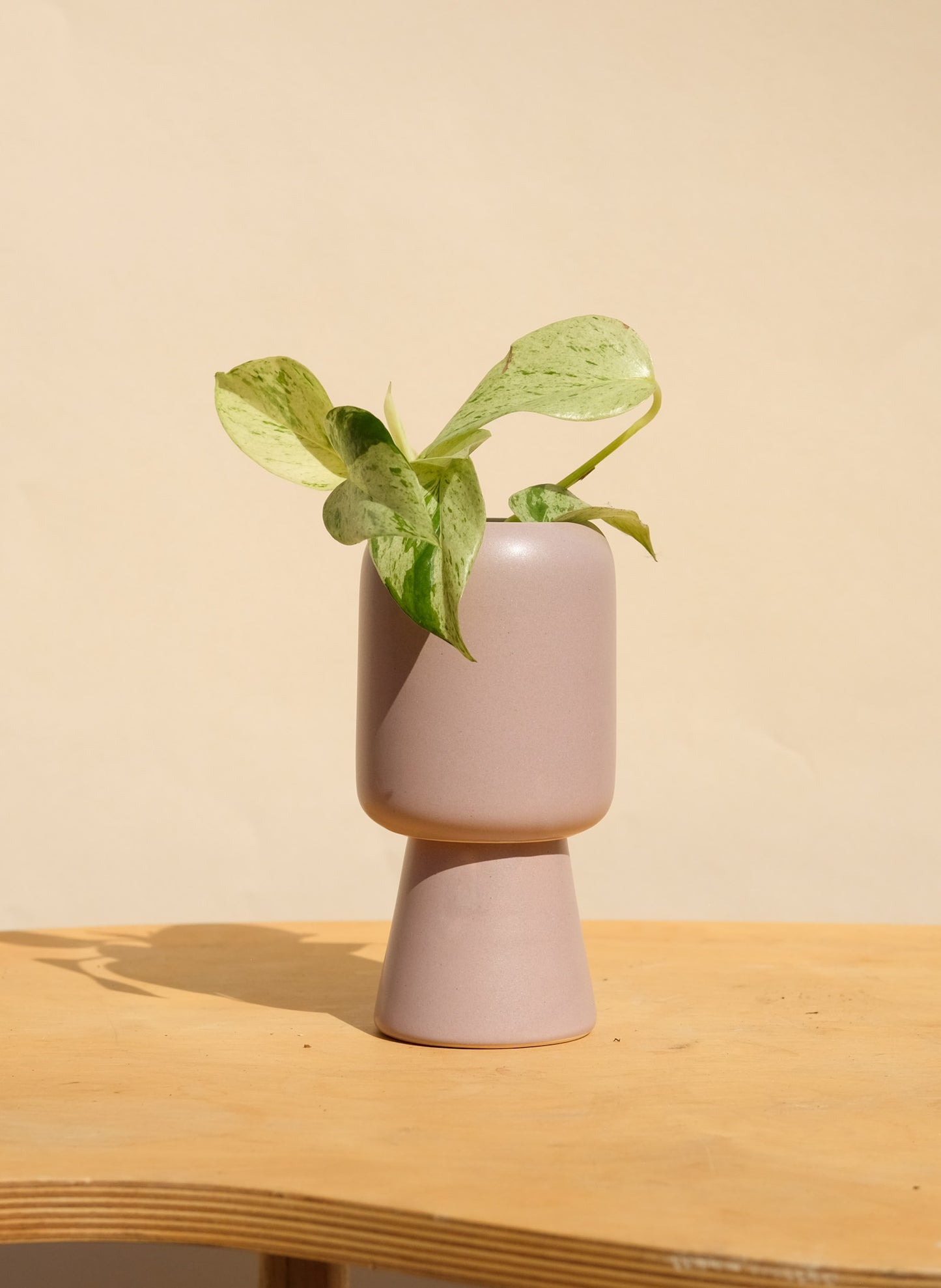 Purple Small Planter 2