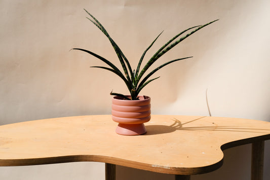 Small Planter Pink
