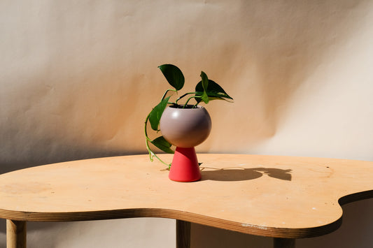 Small Planter Purple and Raspberry