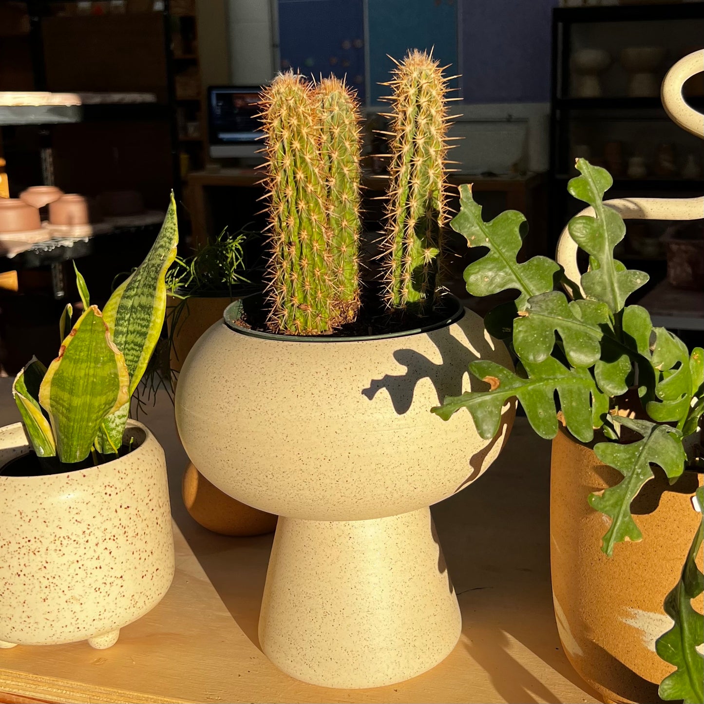 Klei Ceramics Gift Card